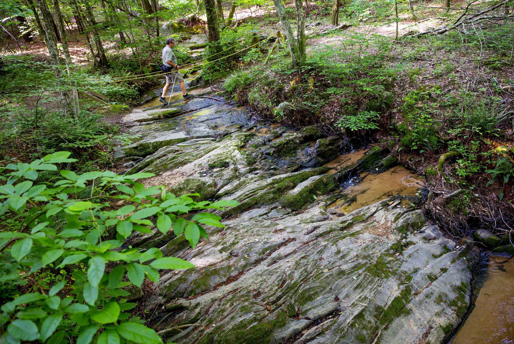 Cascades Preserve hiking trail